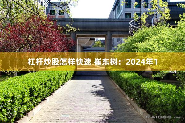 杠杆炒股怎样快速 崔东树：2024年1