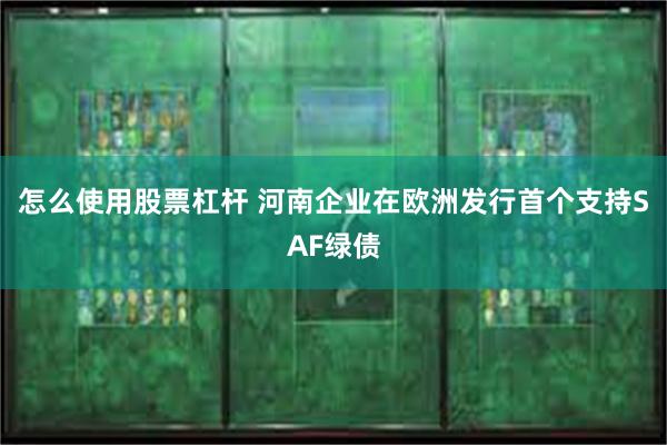 怎么使用股票杠杆 河南企业在欧洲发行首个支持SAF绿债