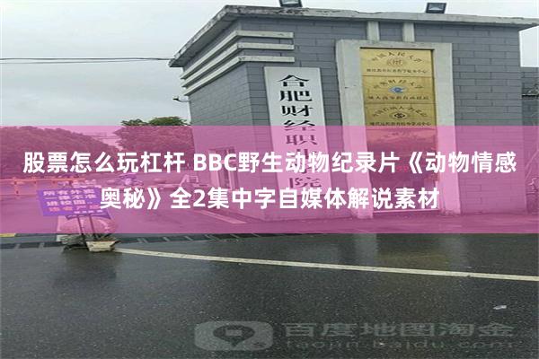 股票怎么玩杠杆 BBC野生动物纪录片《动物情感奥秘》全2集中字自媒体解说素材