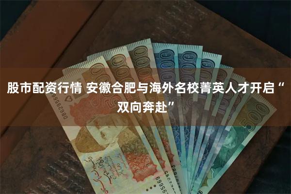 股市配资行情 安徽合肥与海外名校菁英人才开启“双向奔赴”