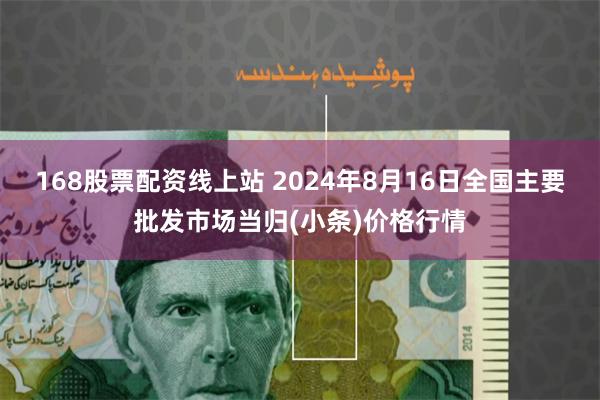 168股票配资线上站 2024年8月16日全国主要批发市场当归(小条)价格行情