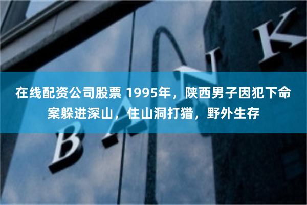 在线配资公司股票 1995年，陕西男子因犯下命案躲进深山，住山洞打猎，野外生存