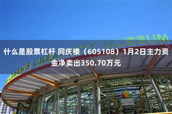 什么是股票杠杆 同庆楼（605108）1月2日主力资金净卖出350.70万元