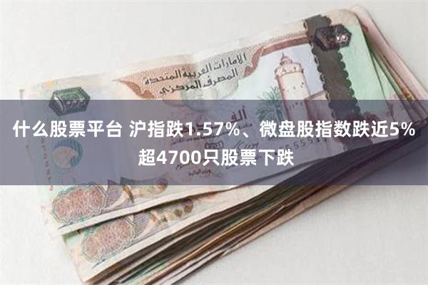 什么股票平台 沪指跌1.57%、微盘股指数跌近5% 超4700只股票下跌