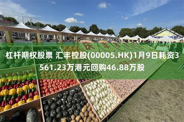 杠杆期权股票 汇丰控股(00005.HK)1月9日耗资3561.23万港元回购46.88万股