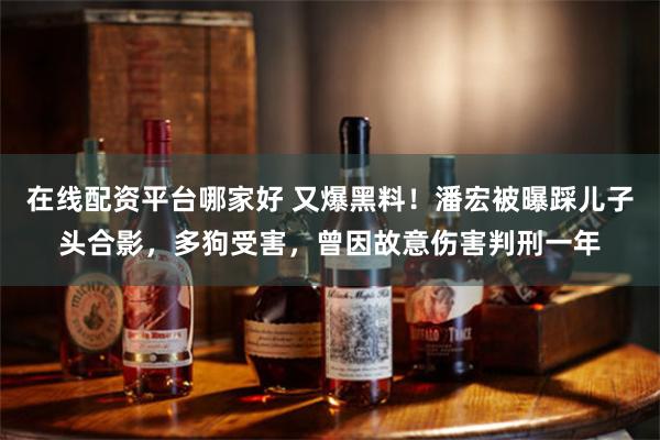 在线配资平台哪家好 又爆黑料！潘宏被曝踩儿子头合影，多狗受害，曾因故意伤害判刑一年