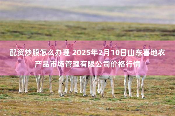 配资炒股怎么办理 2025年2月10日山东喜地农产品市场管理有限公司价格行情